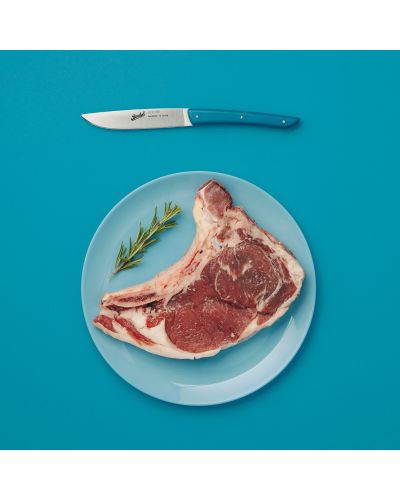 COLOR set of 4 Steak Knives Petroleum Blue 