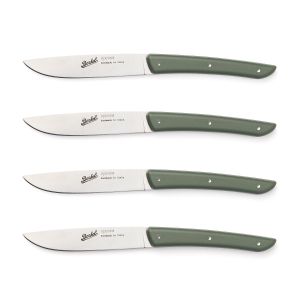 COLOR set of 4 Steak Knives Green