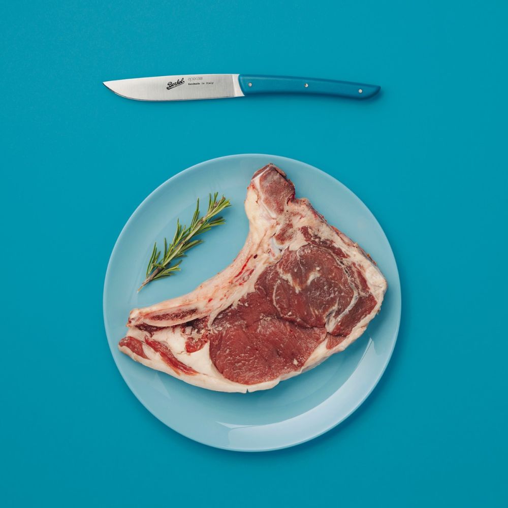 COLOR set of 4 Steak Knives Petroleum Blue 