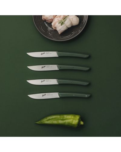 Set 4 Cuchillos Bistec COLOR Verde