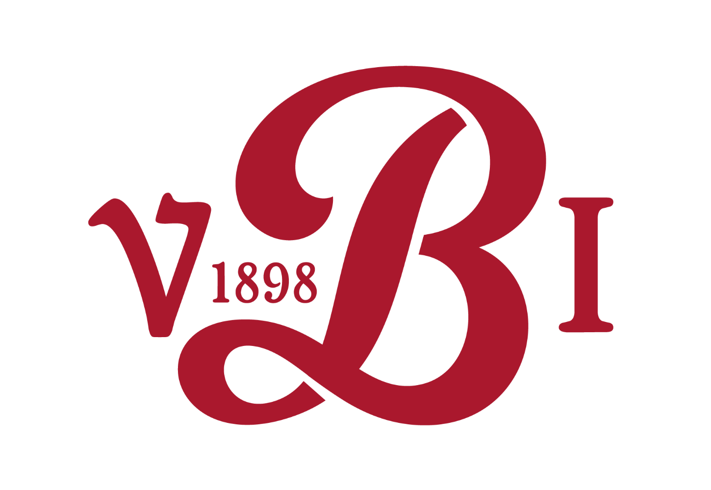 VBI_Logo_mod